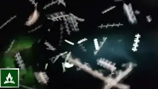 Deep Wilderness Extreme Fireflies!