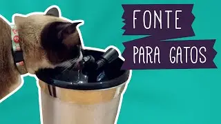 DIY: Como fazer uma fonte para gatos fácil e barata