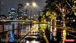 Lonely Night Rain Over the City | Sleep Ambience