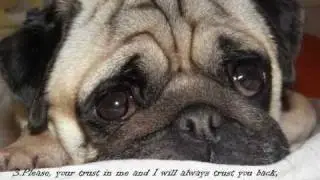 10 COMMANDMENTS FOR DOG