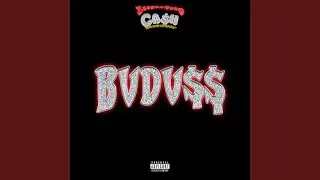BVDV$$
