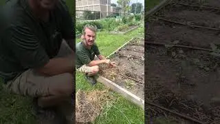 Weeding 101: Our Favorite Tools, Techniques & Prevention