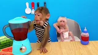 Bu Bu harvest watermelon to make juice for Baby monkey Su