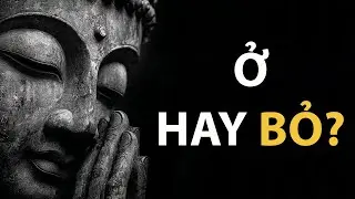 Khi Đức Phật Gặp Người Muốn Bỏ Cuộc Đời