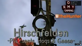 Ormy Gaming TheHunter -Hirschfelden Pheasants, Pigs And Geese-
