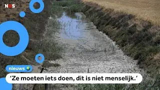 Spanjaarden mogen niet meer in de zon werken door hitte en droogte