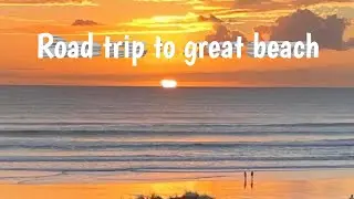 Road trip to Muriwai Beach, West Auckland New Zealand in 4K #beachlife #auckland