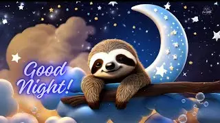 Sleepy Sloth Sleep Music