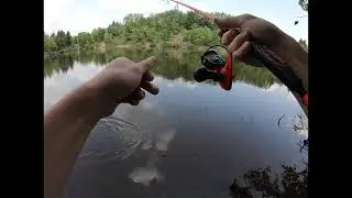 Beaver dam bass fishing(lost a huge pike!!)