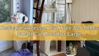 Review Pawfessor Cat Tree 32 Inches Small Cat Tree for Large Cats Adult Cat Tower with Scratching Po