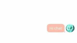 How Marichat started/texting story/secret identity revealed