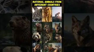 🦁 Национальные животные разных стран 🐾 [Часть 2] #шорты