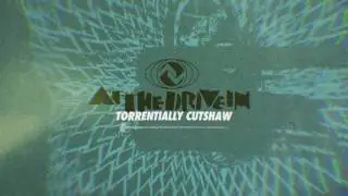 At The Drive In - Torrentially Cutshaw