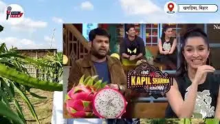 #Dragon fruit farming secret#dragon #farming #bestdragonfruit #agriculture #red dragons fruit