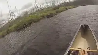 Spinnan Lake - Paddling along eastern shoreline of this lake in the Weasel Lake PMA in the BWCA