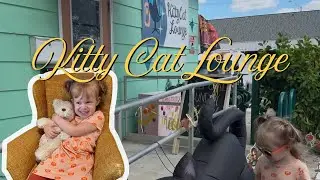 Katie and Sadie visit the Kitty Cat Lounge in Lakeland, Florida