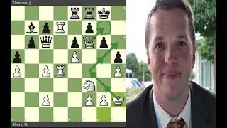 ¡MAJESTUOSA MARCHA DEL REY!: Short vs Timman (Tilburg, 1991)