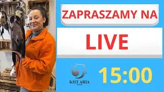 LIVE z KHT ARIA SHOP. Temat: zawody HOBBY HORSE