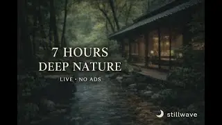 Calm Nature Live 🌿 | Peaceful Stream for Sleep, Relaxation & Deep Rest