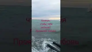 О ЛЮБВИ 💘 #shorts #2024 #nature #sea #love #море  #природа #любовь #позитив