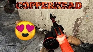 NEW COPPERHEAD BUNDLE in Modern Warfare - Best AUG BLUEPRINT & Best MG42 BLUEPRINT