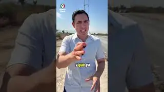 #notipri
