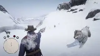 Killing wolves￼ in RDR2