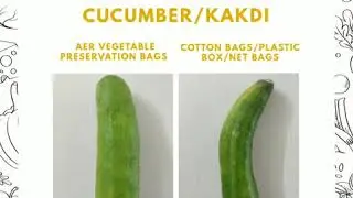 Aer Vegetable Bag - Comparison with other storage methods
