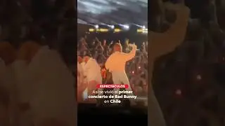 As&iacute; se vivi&oacute; el primer concierto de Bad Bunny en Chile | 24 Horas TVN Chile