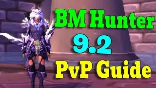 Beast Mastery Hunter PvP Guide / Shadowlands 9.2.5 - ALL in ONE