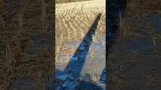 Rural Life in the Heart of Winter