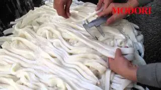 Squid Slicer (MDS-500B)