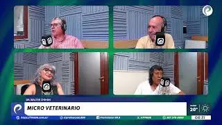 DR. WALTER CHIHAN CON MICRO VETERINARIO EN MODO PROFESIONAL 19/12/25