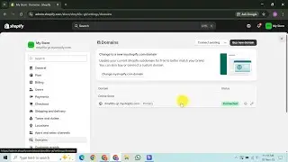 Как изменить доменное имя Shopify