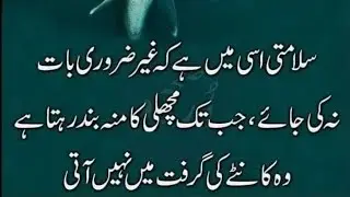 Best Urdu Quotes | Choice is Voice Quotes | Islamic Urdu Quotes