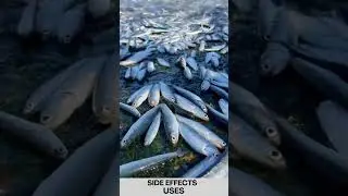 Taxim-O 200 Tablet |Bacterial infections #uses #sideeffects #benefits #malayalam #medicine