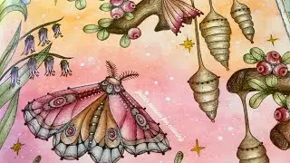 MAGICAL DELIGHTS by Klara Markova - prismacolor pencils - color along