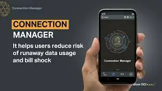 Iridium GO! exec Tutorial Internet Connection Manager