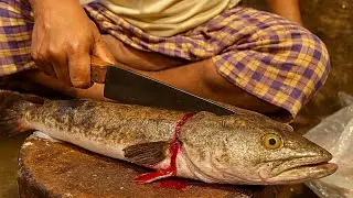 How to Fresh Flathead Kukkar Fish Cutting | Expert Fish Cutting Skills by Fishmonger 