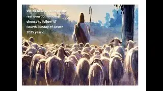 We all have a vocation Fourth Sunday of Easter 2025