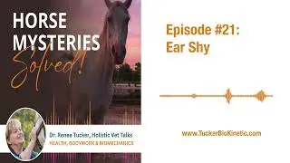 Ear Shy