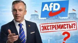 AfD признана экстремистской в Нижней Саксонии: что это значит?