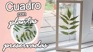 🌿 CUADRO con PLANTAS PRESERVADAS | Cómo preservar plantas | Shanti Irene