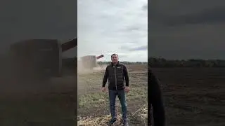 Dewulf Kwatro Xtreme - картоплезбиральний комбайн