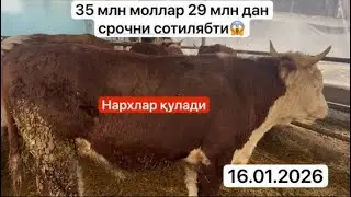 35 млн дан сотилган моллар 29 млн дан срочни сотилади😱