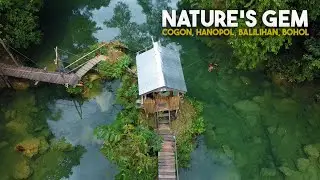Hidden Paradise in Balilihan, Bohol | Nature's Gem