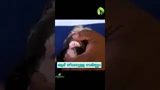 ആടുകളുടെ പ്രായം എങ്ങിനെ തിരിച്ചറിയാം How to identify the age of goats
