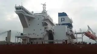 Sea life Vlog Bulker Reggae boy, РеггиБой ЕвгенийСтолберов#ynegvEvokivoN