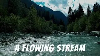 A Flowing Stream  Relaxing Nature Sounds  White Noise for Sleep 3 hours 1