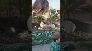 Life size Dinosaurs. A traveling show with I love cookies company